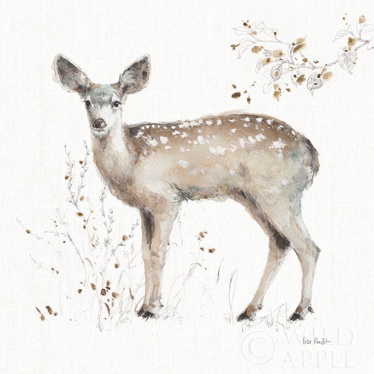 A Woodland Walk Ix Poster Print by Lisa Audit - Item # VARPDX32673